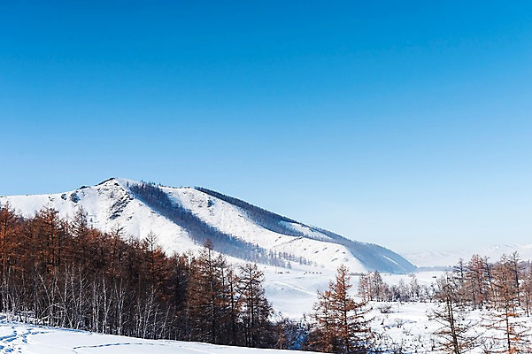 포토 JPG 주간 나무 해외풍경 설경 겨울 자연 하늘 산 풍경 사람없음 야외 설원 눈 몽골 겨울풍경 국내포토 자연요소 식물 해외 계절 아시아 날씨 눈_날씨 생태계 파일형식