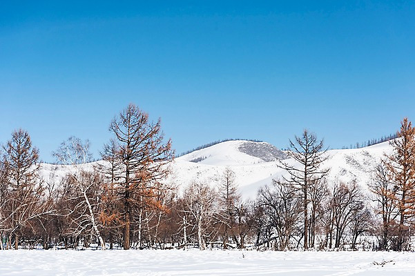 포토 JPG 주간 나무 해외풍경 설경 겨울 자연 하늘 산 풍경 사람없음 야외 설원 눈 몽골 겨울풍경 국내포토 자연요소 식물 해외 계절 아시아 날씨 눈_날씨 생태계 파일형식