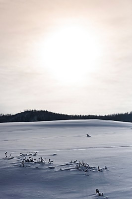 포토 JPG 주간 해외풍경 설경 겨울 자연 하늘 풍경 사람없음 야외 햇빛 노을 설원 눈 몽골 겨울풍경 국내포토 자연요소 해외 계절 아시아 날씨 눈_날씨 태양 생태계 파일형식