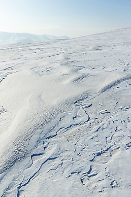 포토 JPG 주간 해외풍경 설경 겨울 자연 하늘 풍경 근접촬영 사람없음 야외 설원 눈 몽골 겨울풍경 국내포토 자연요소 해외 계절 아시아 뷰포인트 날씨 눈_날씨 생태계 파일형식