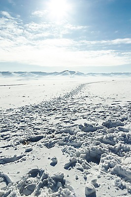 포토 JPG 주간 구름 해외풍경 설경 겨울 자연 하늘 산 풍경 사람없음 야외 햇빛 설원 눈 몽골 겨울풍경 국내포토 자연요소 해외 계절 아시아 날씨 눈_날씨 태양 생태계 파일형식