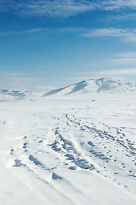 포토 JPG 주간 구름 해외풍경 설경 겨울 자연 하늘 산 풍경 사람없음 야외 설원 눈 몽골 겨울풍경 국내포토 자연요소 해외 계절 아시아 날씨 눈_날씨 생태계 파일형식