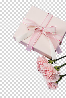 편집이미지 꽃 리본 선물 사람없음 장식 선물상자 오브젝트 PNG 편집소스 식물 상자 파일형식