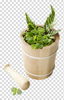식물 편집이미지 사람없음 방망이 풀 약초 허브 오브젝트 절구 PNG 편집소스 도구 풀_식물 파일형식