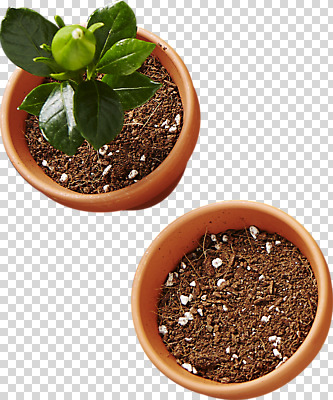 식물 편집이미지 화분 사람없음 장식 흙 오브젝트 PNG 식물심기 심기 편집소스 모션 파일형식
