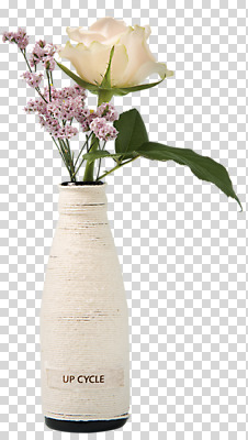 편집이미지 꽃 사람없음 장식 꽃병 오브젝트 PNG 업사이클링 편집소스 식물 친환경 파일형식