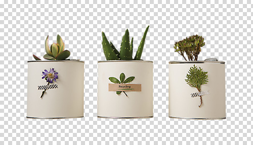 편집이미지 꽃 화분 사람없음 장식 오브젝트 PNG 다육식물 편집소스 식물 파일형식