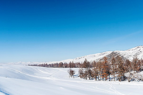 포토 JPG 주간 나무 해외풍경 설경 겨울 자연 하늘 산 사람없음 야외 파란색 설원 눈 몽골 겨울풍경 국내포토 자연요소 식물 해외 계절 아시아 컬러 날씨 눈_날씨 풍경 생태계 파일형식