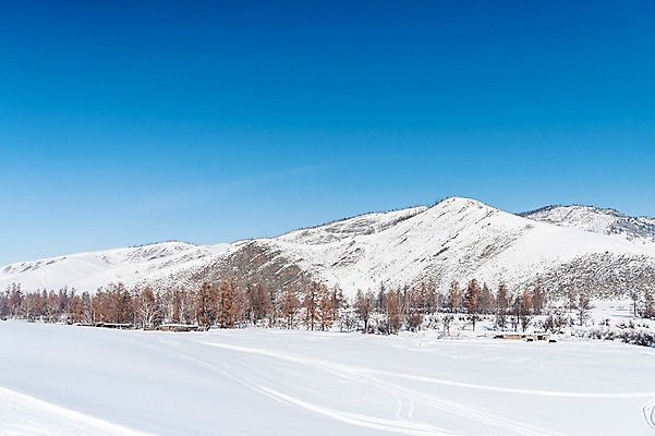 포토 JPG 주간 나무 해외풍경 설경 겨울 자연 하늘 산 사람없음 야외 파란색 설원 눈 몽골 겨울풍경 국내포토 자연요소 식물 해외 계절 아시아 컬러 날씨 눈_날씨 풍경 생태계 파일형식