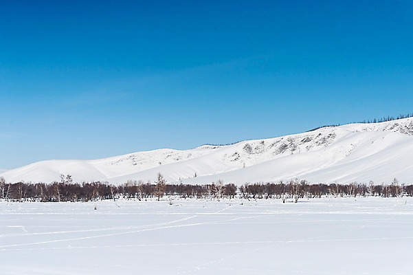 포토 JPG 주간 나무 해외풍경 설경 겨울 자연 하늘 산 사람없음 야외 파란색 설원 눈 몽골 겨울풍경 국내포토 자연요소 식물 해외 계절 아시아 컬러 날씨 눈_날씨 풍경 생태계 파일형식