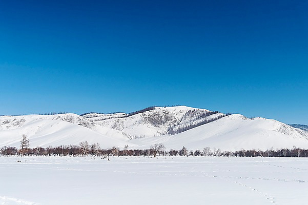 포토 JPG 주간 나무 해외풍경 설경 겨울 자연 하늘 산 사람없음 야외 파란색 설원 눈 몽골 겨울풍경 국내포토 자연요소 식물 해외 계절 아시아 컬러 날씨 눈_날씨 풍경 생태계 파일형식
