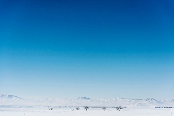 포토 JPG 주간 나무 해외풍경 설경 겨울 자연 하늘 산 사람없음 야외 파란색 설원 눈 몽골 겨울풍경 국내포토 자연요소 식물 해외 계절 아시아 컬러 날씨 눈_날씨 풍경 생태계 파일형식