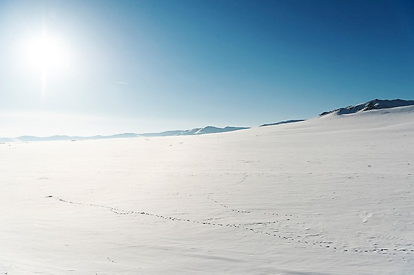 포토 JPG 주간 해외풍경 설경 겨울 자연 하늘 사람없음 야외 파란색 햇빛 설원 눈 몽골 겨울풍경 국내포토 자연요소 해외 계절 아시아 컬러 날씨 눈_날씨 풍경 태양 생태계 파일형식
