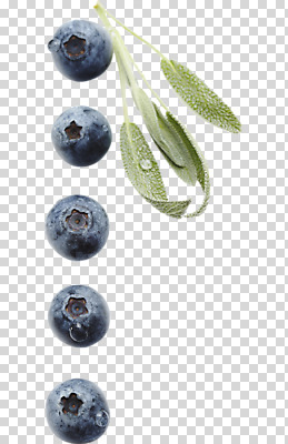 편집이미지 음식 잎 사람없음 여러개 물방울 배열 블루베리 PNG 편집소스 식물 다수 과일 파일형식