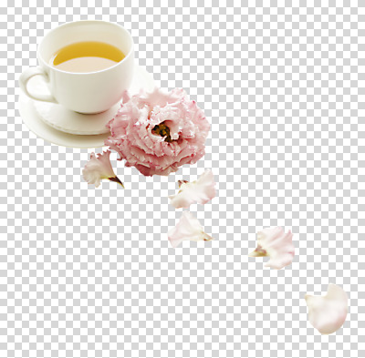 편집이미지 꽃잎 음식 따뜻함 사람없음 장미 차 찻잔 PNG 편집소스 꽃 음료 잔 파일형식