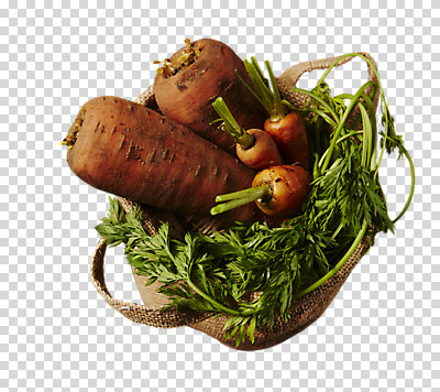 편집이미지 음식 사람없음 바구니 당근 PNG 미니당근 편집소스 뿌리채소 파일형식