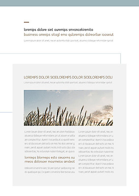 템플릿 내지 비즈니스 갈대 풍경 사람없음 회색 흰색 문서템플릿 모던 문서 이미지템플릿 AI파일 식물 컬러 파일형식 벡터