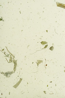 포토 JPG 스튜디오촬영 백그라운드 무늬 재료 실내 근접촬영 사람없음 연두색 한지 오브젝트 질감 카피스페이스 국내포토 종이 뷰포인트 내부 초록색 공백 파일형식