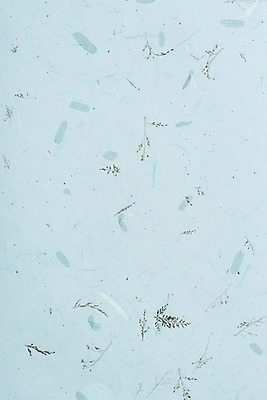 포토 JPG 스튜디오촬영 하늘색 백그라운드 무늬 재료 실내 근접촬영 사람없음 한지 오브젝트 질감 카피스페이스 국내포토 종이 뷰포인트 내부 파란색 공백 파일형식