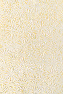 포토 JPG 스튜디오촬영 종이 백그라운드 꽃무늬 재료 실내 근접촬영 사람없음 노란색 오브젝트 질감 카피스페이스 국내포토 꽃 뷰포인트 컬러 무늬 내부 공백 파일형식