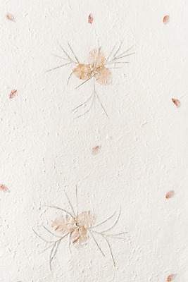 포토 JPG 스튜디오촬영 꽃잎 백그라운드 무늬 재료 실내 근접촬영 사람없음 흰색 한지 오브젝트 질감 카피스페이스 국내포토 꽃 종이 뷰포인트 컬러 내부 공백 파일형식