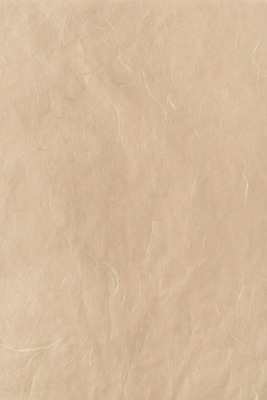 포토 JPG 스튜디오촬영 백그라운드 무늬 재료 실내 근접촬영 사람없음 갈색 한지 오브젝트 질감 카피스페이스 국내포토 종이 뷰포인트 컬러 내부 공백 파일형식