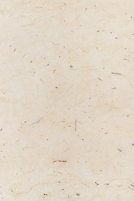 포토 JPG 스튜디오촬영 백그라운드 무늬 재료 실내 근접촬영 사람없음 한지 오브젝트 질감 베이지색 카피스페이스 국내포토 종이 뷰포인트 컬러 내부 공백 파일형식