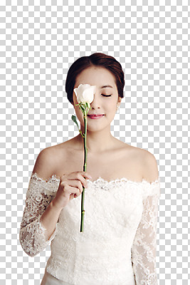 편집이미지 여자 신부 웨딩드레스 결혼 한명 서기 웃음 들기 상반신 20대 성인 앞모습 장미 눈감음 한국인 티아라 PNG 성인여자한명만 편집소스 1 드레스 꽃 뷰포인트 모션 왕관 표정 사람 동양인 이벤트 청년 여자한명만 성인여자만 파일형식