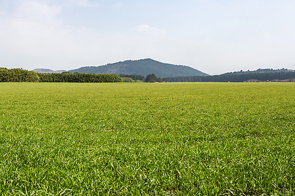 포토 JPG 주간 자연 하늘 산 풍경 초원 사람없음 야외 관광지 제주도 봄 봄여행 국내포토 자연요소 계절 여행 한국 생태계 파일형식