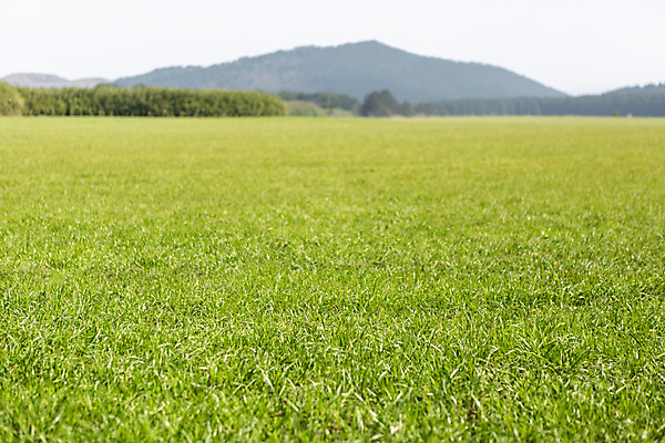 포토 JPG 주간 자연 하늘 산 풍경 초원 사람없음 야외 관광지 제주도 봄 봄여행 국내포토 자연요소 계절 여행 한국 생태계 파일형식