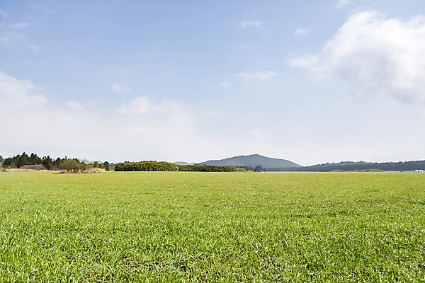 포토 JPG 주간 자연 하늘 산 풍경 초원 사람없음 야외 관광지 제주도 봄 봄여행 국내포토 자연요소 계절 여행 한국 생태계 파일형식