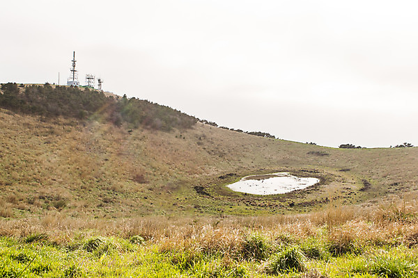 포토 JPG 주간 자연 풍경 사람없음 야외 관광지 제주도 봄 언덕 봄여행 금오름 국내포토 자연요소 계절 여행 한국 생태계 오름 파일형식