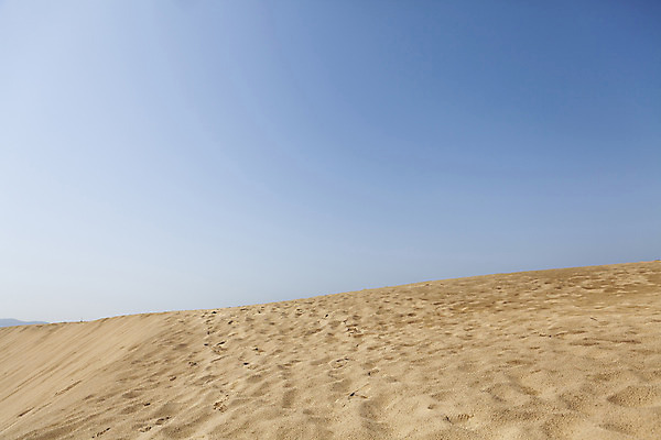 포토 JPG 주간 모래 자연 하늘 풍경 사람없음 야외 관광지 봄 문화재 모래언덕 언덕 태안 천연기념물 봄여행 신두리해안사구 국내포토 자연요소 계절 여행 충청남도 생태계 파일형식