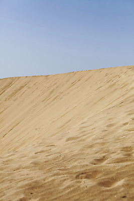 포토 JPG 주간 모래 자연 하늘 풍경 사람없음 야외 관광지 봄 문화재 모래언덕 언덕 태안 천연기념물 봄여행 신두리해안사구 국내포토 자연요소 계절 여행 충청남도 생태계 파일형식