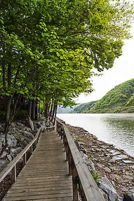 포토 JPG 주간 나무 자연 풍경 사람없음 야외 관광지 봄 산책로 남이섬 봄여행 북한강 국내포토 자연요소 식물 계절 길 섬 여행 강 생태계 강원도 가평 파일형식