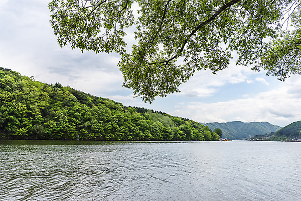 포토 JPG 주간 나무 구름 자연 하늘 풍경 사람없음 야외 관광지 강 봄 남이섬 봄여행 북한강 국내포토 자연요소 식물 계절 섬 여행 생태계 강원도 가평 파일형식