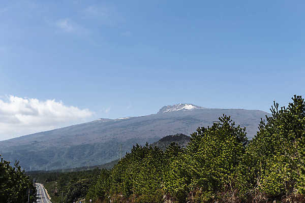 포토 JPG 주간 나무 구름 자연 하늘 풍경 사람없음 야외 관광지 제주도 봄 한라산 봄여행 국내포토 자연요소 식물 계절 여행 산 한국 생태계 파일형식