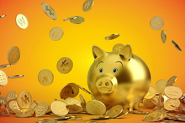 PSD 편집이미지 백그라운드 돈 새해 사람없음 컬러풀 3D소스 3D 동전 주황색 돼지 떨어짐 디지털합성 금화 그라데이션 2019년 편집소스 기해년 황금돼지 편집3D 컬러 컨셉 포유류 재산 황금 연도 파일형식