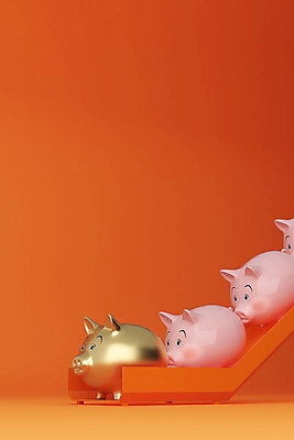 PSD 편집이미지 분홍색 백그라운드 새해 사람없음 빨간색 컬러풀 3D소스 3D 금색 돼지 미끄럼틀 디지털합성 줄서기 2019년 편집소스 기해년 황금돼지 편집3D 컬러 포유류 모션 놀이기구 연도 파일형식