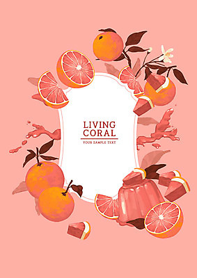 PSD 꽃 컬러 백그라운드 잎 과일 일러스트 사람없음 유행 자몽 젤리 푸딩 과즙 리빙코랄 국내일러스트 식물 디저트 파일형식 트랜드컬러 코랄