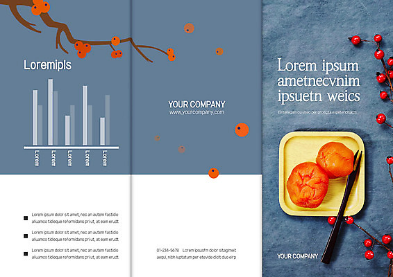 템플릿 표지디자인 북디자인 출판디자인 열매 표지 리플렛 포크 북커버 3단접지 그래프 감 팜플렛 사람없음 파란색 감나무 곶감 이미지템플릿 AI파일 나무 식물 식기 컬러 과일 건과일 파일형식 벡터