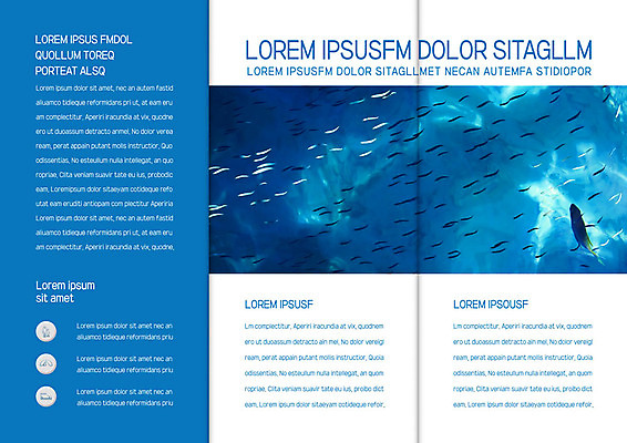 템플릿 표지디자인 북디자인 출판디자인 내지 리플렛 바다 북커버 3단접지 어류 팜플렛 사람없음 파란색 바닷속 돌고래 이미지템플릿 AI파일 컬러 포유류 수중 수중동물 파일형식 벡터