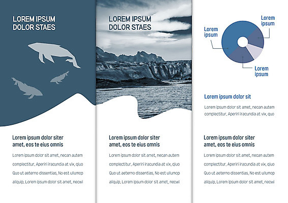 템플릿 표지디자인 북디자인 출판디자인 내지 리플렛 바다 북커버 3단접지 자연 그래프 팜플렛 해변 사람없음 자연보호 그린캠페인 고래 언덕 산등성이 이미지템플릿 AI파일 캠페인 포유류 산 수중동물 보호 생태계 파일형식 벡터