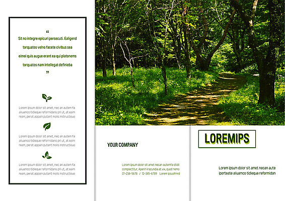 나무 템플릿 표지디자인 북디자인 출판디자인 표지 리플렛 북커버 3단접지 나뭇잎 팜플렛 사람없음 초록색 숲속 숲 오솔길 들풀 이미지템플릿 AI파일 식물 길 컬러 잎 파일형식 벡터