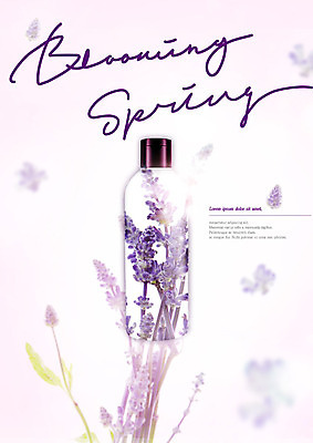 PSD 편집이미지 꽃잎 꽃 따뜻함 사람없음 컬러풀 뷰티 보라색 봄 화장품 향수 향기 낙화 카피스페이스 이미지편집 식물 계절 컬러 공백 냄새 파일형식