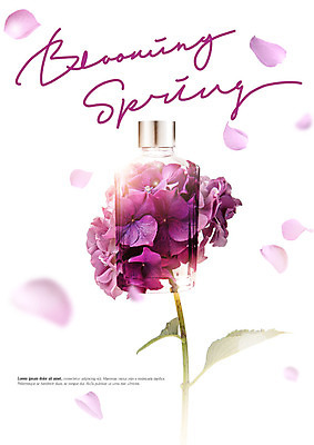 PSD 편집이미지 꽃잎 꽃 따뜻함 사람없음 뷰티 보라색 봄 화장품 향수 향기 낙화 카피스페이스 이미지편집 식물 계절 컬러 공백 냄새 파일형식