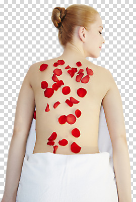 서양인 외국인 편집이미지 여자 꽃잎 엎드리기 한명 사람 상반신 20대 성인 뒷모습 빨간색 수건 눈감음 등 마사지 PNG 성인여자한명만 1 꽃 뷰포인트 컬러 모션 인종 청년 신체부위 위생용품 여자한명만 성인여자만 파일형식
