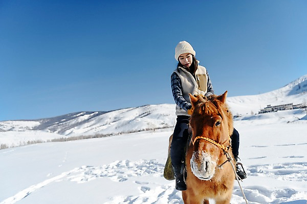 포토 JPG 주간 전신 한마리 응시 여자 여행 겨울 산 한명 사람 앉기 20대 성인 야외 앞모습 설원 한국인 눈 잡기 말_동물 승마 몽골 고삐 성인여자한명만 국내포토 자연요소 1 시선 계절 아시아 스포츠 뷰포인트 포유류 모션 날씨 눈_날씨 동양인 청년 여자한명만 성인여자만 파일형식