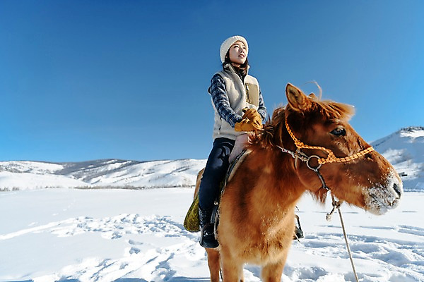 포토 JPG 주간 전신 한마리 응시 여자 로우앵글 여행 장갑 겨울 산 한명 미소 사람 앉기 20대 성인 야외 앞모습 설원 한국인 눈 잡기 말_동물 승마 몽골 고삐 성인여자한명만 국내포토 자연요소 1 시선 잡화 계절 아시아 스포츠 뷰포인트 포유류 모션 날씨 눈_날씨 표정 동양인 청년 여자한명만 성인여자만 파일형식