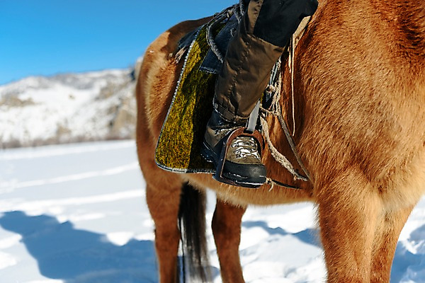 포토 JPG 주간 남자 여행 겨울 산 털 한명 사람 앉기 근접촬영 성인 야외 신체부위 30대 설원 한국인 하반신 눈 다리 말_동물 승마 몽골 안장 성인남자한명만 국내포토 자연요소 1 계절 아시아 스포츠 뷰포인트 포유류 모션 날씨 눈_날씨 동양인 장년 남자한명만 성인남자만 파일형식